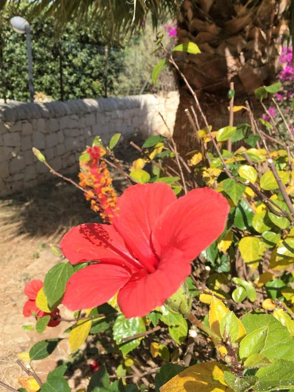 Hibiscus Rosso Donnalucata (Sicily) Exterior foto
